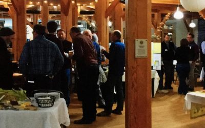 Mobilizing Local Investors
